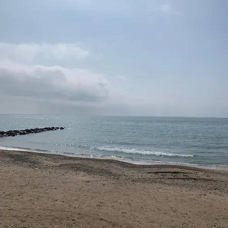 Appartement T2 Lumineux Et Piscine *