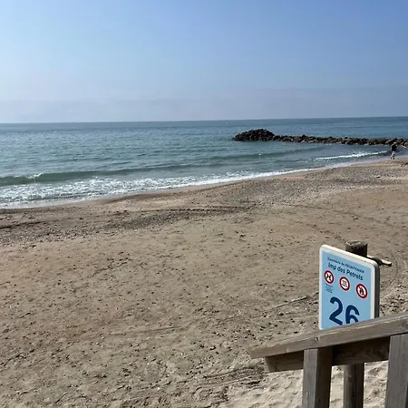 T2 Lumineux Et Piscine Lejlighed Frontignan